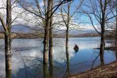 Canterno1