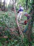 IMG-20200516-WA0001