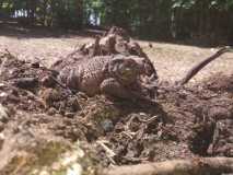 IMG-20200530-WA0021